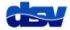 DSV_LOGO